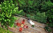 Туры в отель Hotel Boutique Quebra-Noz Conforto e Natureza