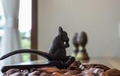 Туры в отель Hotel Boutique Quebra-Noz Conforto e Natureza