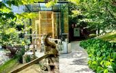 Туры в отель Hotel Boutique Quebra-Noz Conforto e Natureza