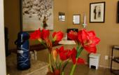 Туры в отель Hotel Garrafao Boituva