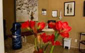 Туры в отель Hotel Garrafao Boituva