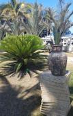 Туры в отель Atlantico Hotel