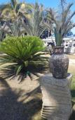 Туры в отель Atlantico Hotel