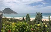 Туры в отель LONGBOARD PARADISE SUITES