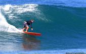 Туры в отель LONGBOARD PARADISE SUITES