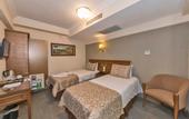 Туры в отель Laleli Gonen Hotel