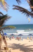 Туры в отель EcoVila-Zen Bougainville - Hotel Pousada