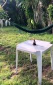 Туры в отель EcoVila-Zen Bougainville - Hotel Pousada
