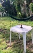 Туры в отель EcoVila-Zen Bougainville - Hotel Pousada