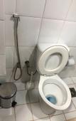 Туры в отель EcoVila-Zen Bougainville - Hotel Pousada