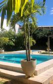 Туры в отель EcoVila-Zen Bougainville - Hotel Pousada