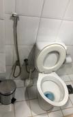 Туры в отель EcoVila-Zen Bougainville - Hotel Pousada