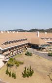 Туры в отель Bendito Cacao Resort & Spa