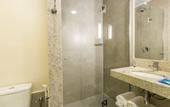 Туры в отель ibis Budget Ribeirao Preto Vila do Golf