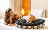 Туры в отель Matiz Niteroi Design Hotel