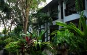 Туры в отель The Hive Hotel