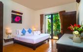 Туры в отель The Hive Hotel