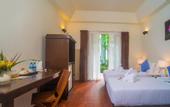 Туры в отель The Hive Hotel