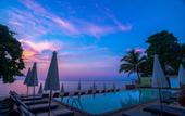 Туры в отель The Hive Hotel