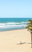 Туры в отель Porto das Dunas Boutique Praia Hotel