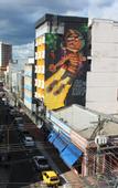 Туры в отель Mural Living Hotel Manaus