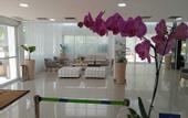 Туры в отель ATH Hotel - Americas Townhouse