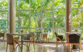 Туры в отель Almenat Embu das Artes, Tapestry Collection by Hilton