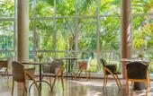 Туры в отель Almenat Embu das Artes, Tapestry Collection by Hilton