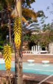 Туры в отель Jardim Secreto Guest House - Hostel
