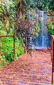 Туры в отель Hotel Platanus