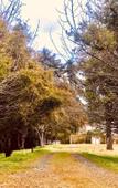 Туры в отель Hotel Platanus