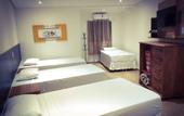 Туры в отель Hotel Paddock