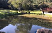 Туры в отель Hotel Fazenda Villa Galicia