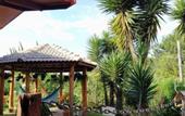 Туры в отель Pousada Araucaria Village