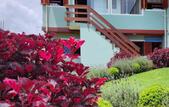 Туры в отель Pousada Araucaria Village
