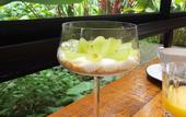Туры в отель Pousada Yamandu