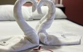 Туры в отель Hotel Paradise