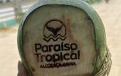 Туры в отель Hotel Paraiso Tropical