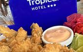 Туры в отель Hotel Paraiso Tropical