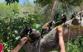 Туры в отель Pousada Arraial Dos Sonhos