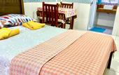 Туры в отель A Casa dos Mestres