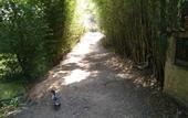 Туры в отель Pousada Campestre Estancia Sao Domingos