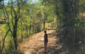 Туры в отель Pousada Campestre Estancia Sao Domingos