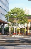 Туры в отель The Westin Sao Paulo