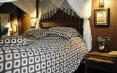 Туры в отель Andromeda Hotel