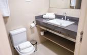 Туры в отель Slim Hotel Neo Sao Bernardo do Campo