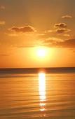 Туры в отель Coral Harbour Beach House And Villas