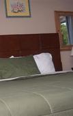 Туры в отель Coral Harbour Beach House And Villas