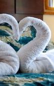 Туры в отель Coral Harbour Beach House And Villas