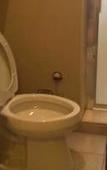 Туры в отель Brownstone Marlin Drive